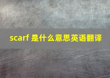 scarf 是什么意思英语翻译